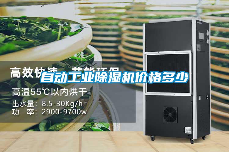 自動工業91看片在线下载機價格多少