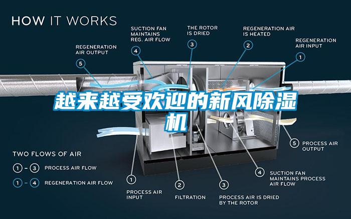 越來越受歡迎的新風91看片在线下载機