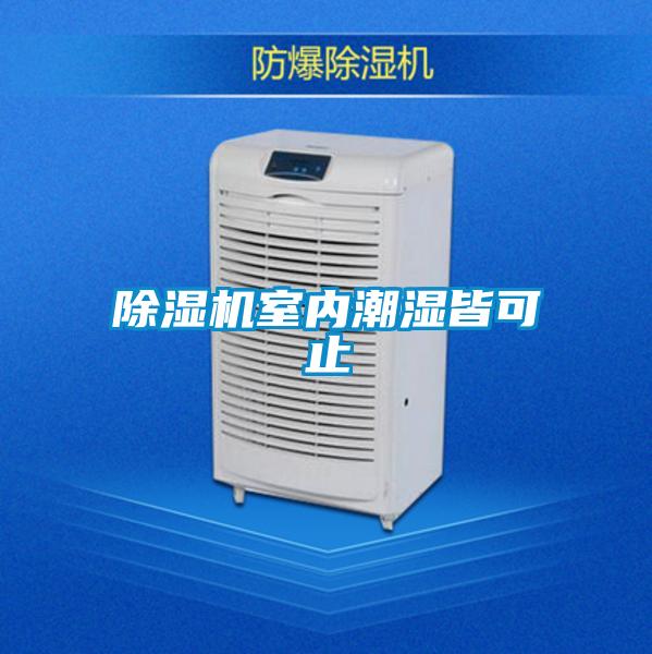 91看片在线下载機室內潮濕皆可止