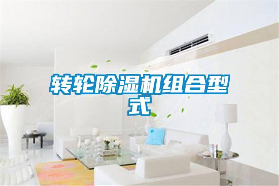 轉輪91看片在线下载機組合型式