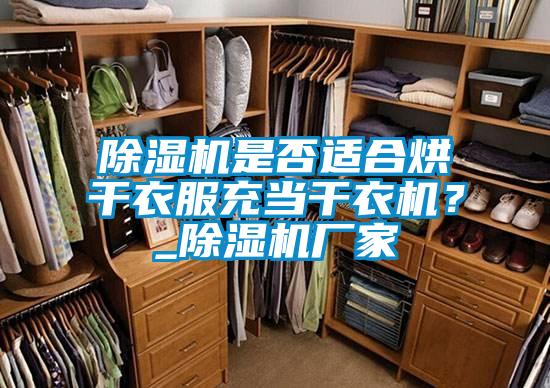 91看片在线下载機是否適合烘幹衣服充當幹衣機？_91看片在线下载機廠家
