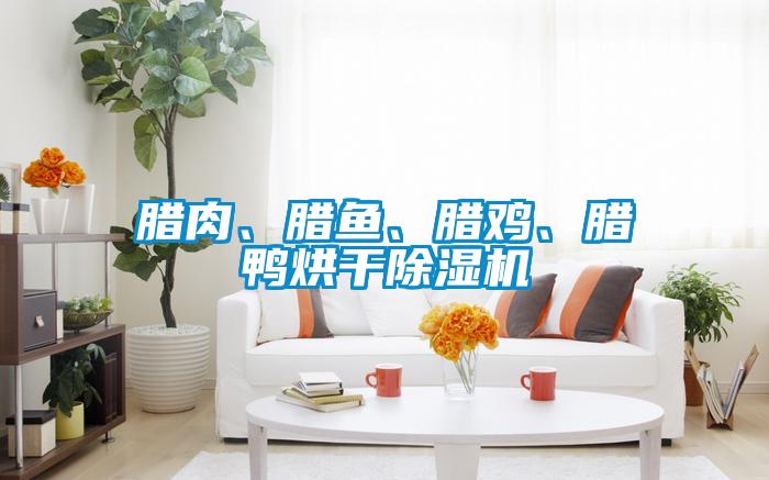 臘肉、臘魚、臘雞、臘鴨烘幹91看片在线下载機