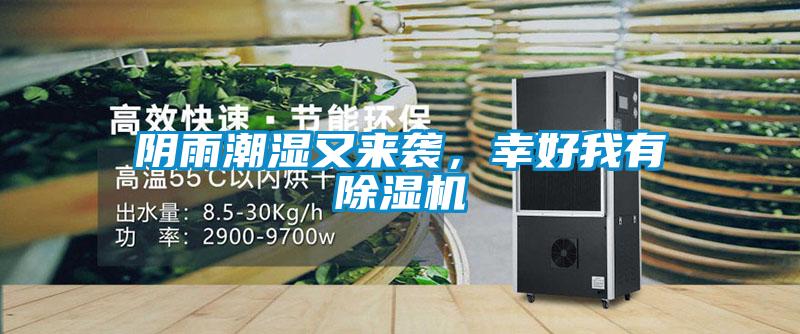 陰雨潮濕又來襲，幸好我有91看片在线下载機