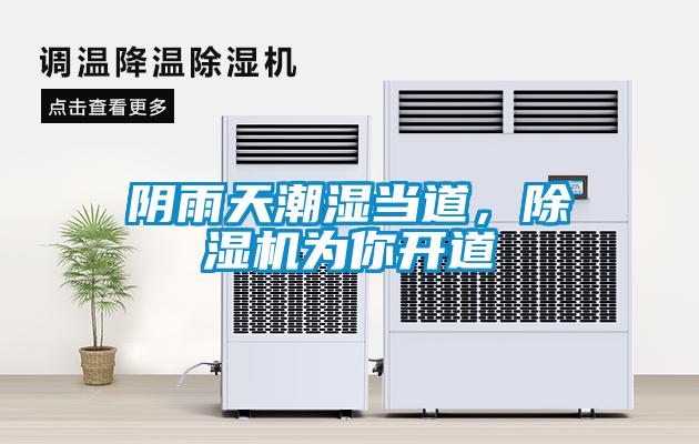 陰雨天潮濕當道，91看片在线下载機為你開道