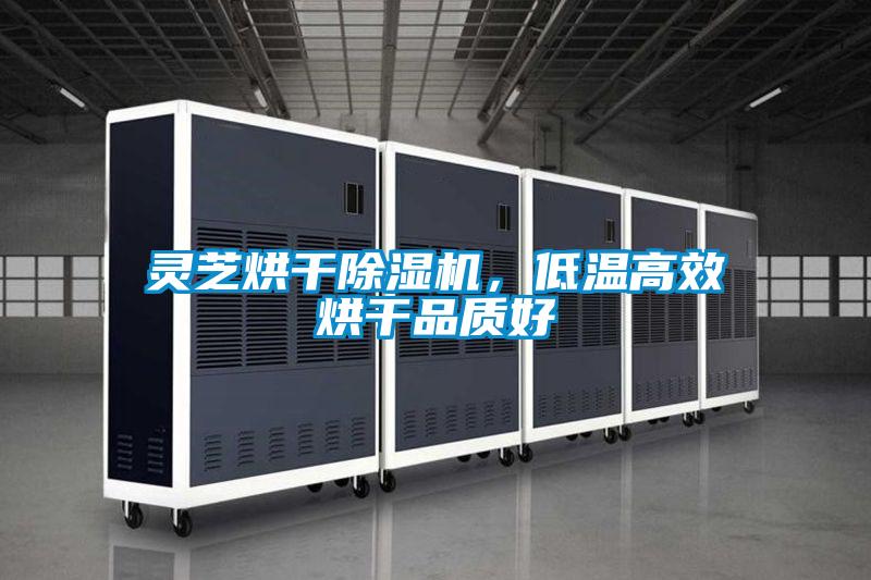 靈芝烘幹91看片在线下载機，低溫高效烘幹品質好