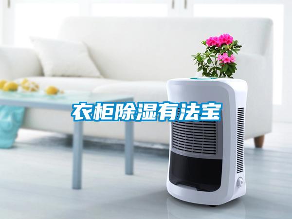 衣櫃91看片在线下载有法寶
