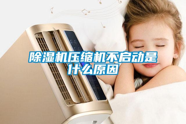 91看片在线下载機壓縮機不啟動是什麽原因