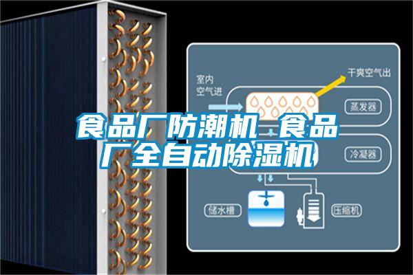 食品廠防潮機 食品廠全自動91看片在线下载機