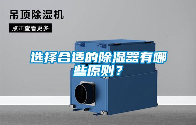 選擇合適的91看片在线下载器有哪些原則？