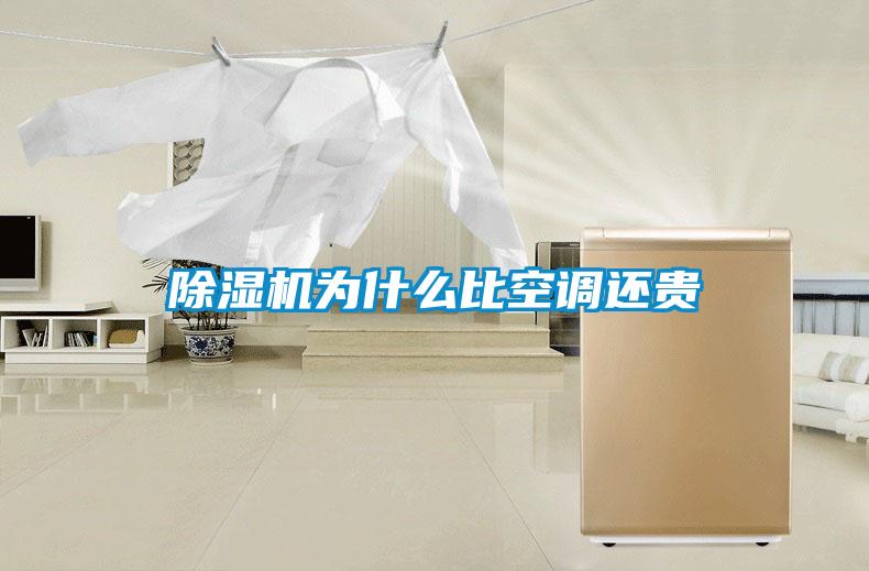 91看片在线下载機為什麽比空調還貴