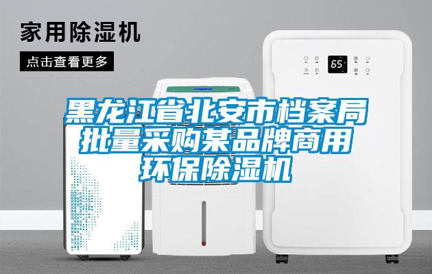 黑龍江省北安市檔案局批量采購某品牌商用環保91看片在线下载機