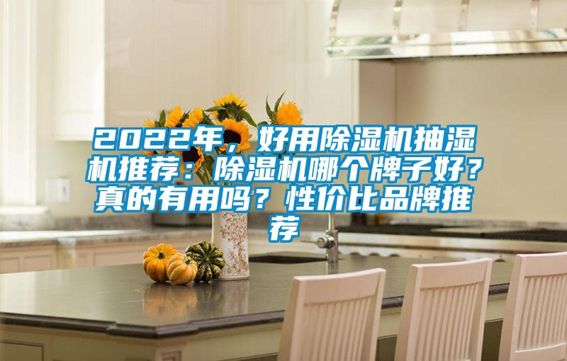 2022年，好用91看片在线下载機抽濕機推薦：91看片在线下载機哪個牌子好？真的有用嗎？性價比品牌推薦