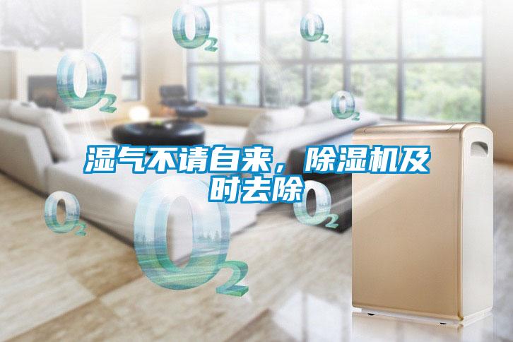 濕氣不請自來，91看片在线下载機及時去除