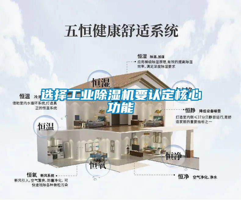 選擇工業91看片在线下载機要認定核心功能