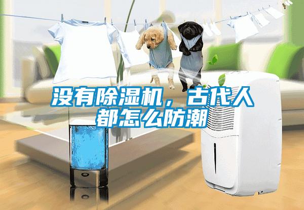 沒有91看片在线下载機，古代人都怎麽防潮