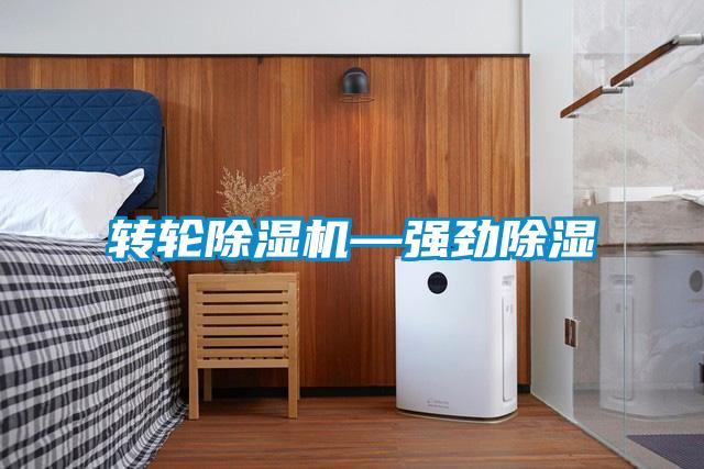 轉輪91看片在线下载機—強勁91看片在线下载