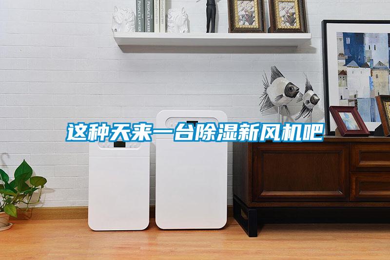 這種天來一台91看片在线下载新風機吧