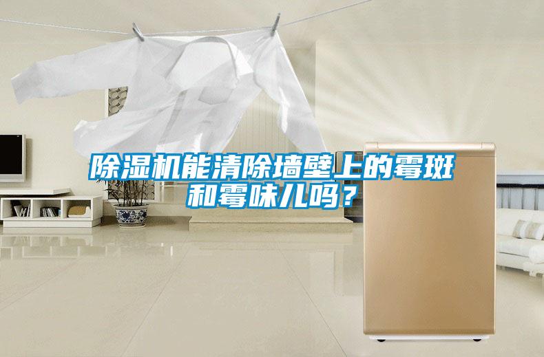 91看片在线下载機能清除牆壁上的黴斑和黴味兒嗎？