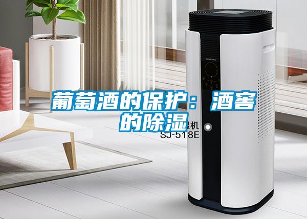 葡萄酒的保護：酒窖的91看片在线下载