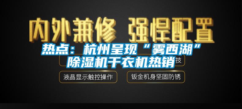 熱點：杭州呈現“霧西湖”91看片在线下载機幹衣機熱銷