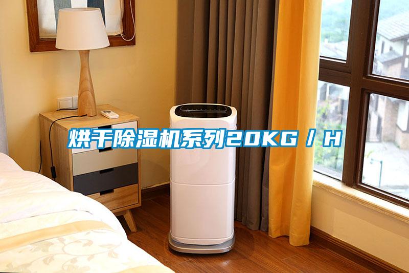 烘幹91看片在线下载機係列20KG／H