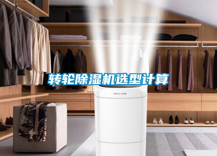 轉輪91看片在线下载機選型計算