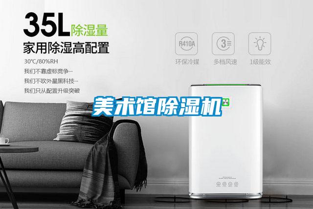 美術館91看片在线下载機