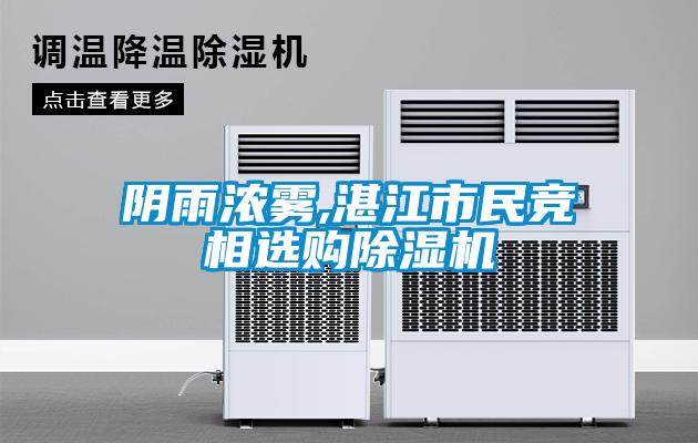 陰雨濃霧,湛江市民競相選購91看片在线下载機