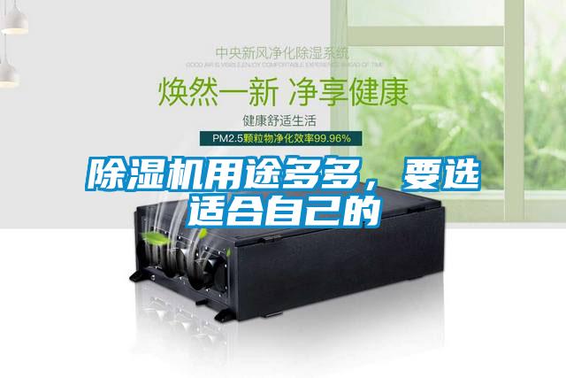91看片在线下载機用途多多，要選適合自己的