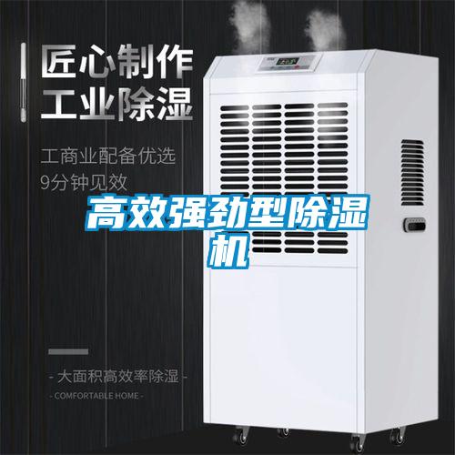 高效強勁型91看片在线下载機