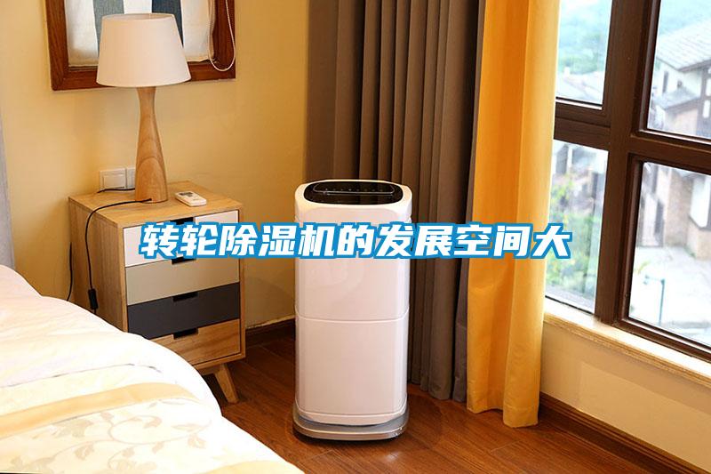 轉輪91看片在线下载機的發展空間大