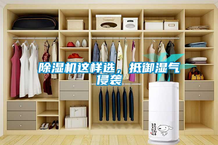 91看片在线下载機這樣選，抵禦濕氣侵襲