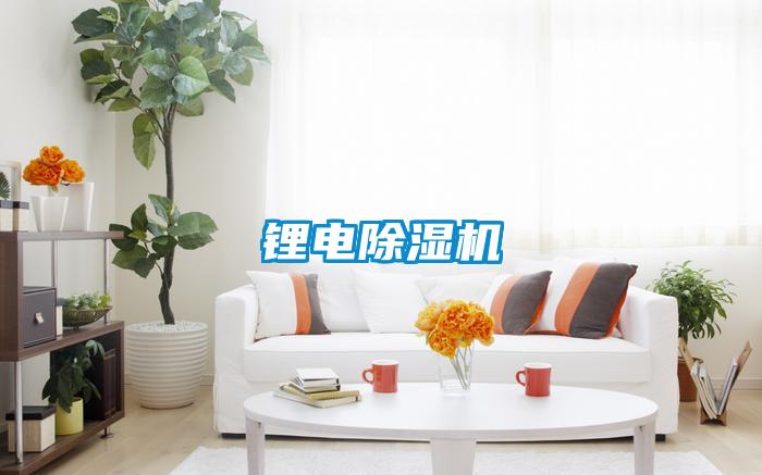 鋰電91看片在线下载機