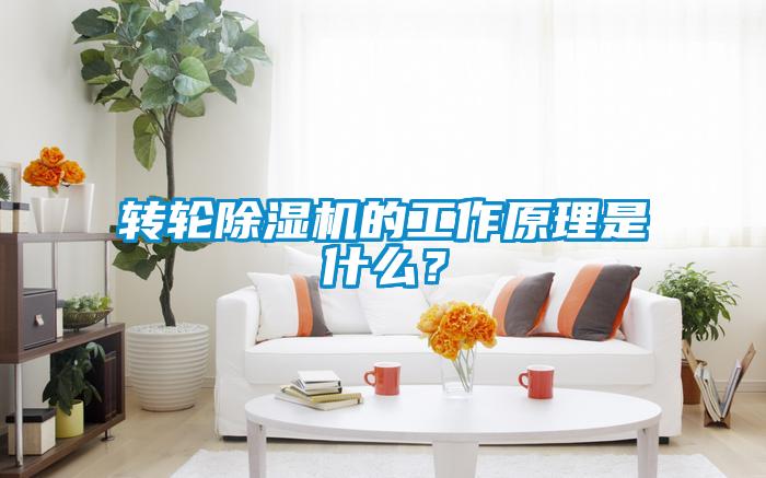 轉輪91看片在线下载機的工作原理是什麽？