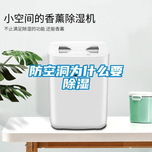 防空洞為什麽要91看片在线下载