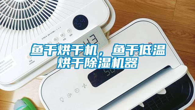 魚幹烘幹機，魚幹低溫烘幹91看片在线下载機器