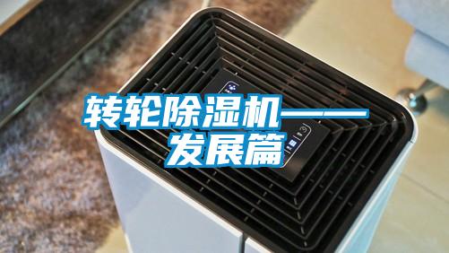 轉輪91看片在线下载機——發展篇