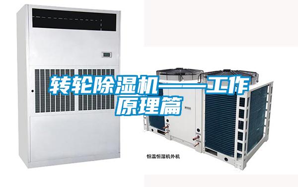 轉輪91看片在线下载機——工作原理篇