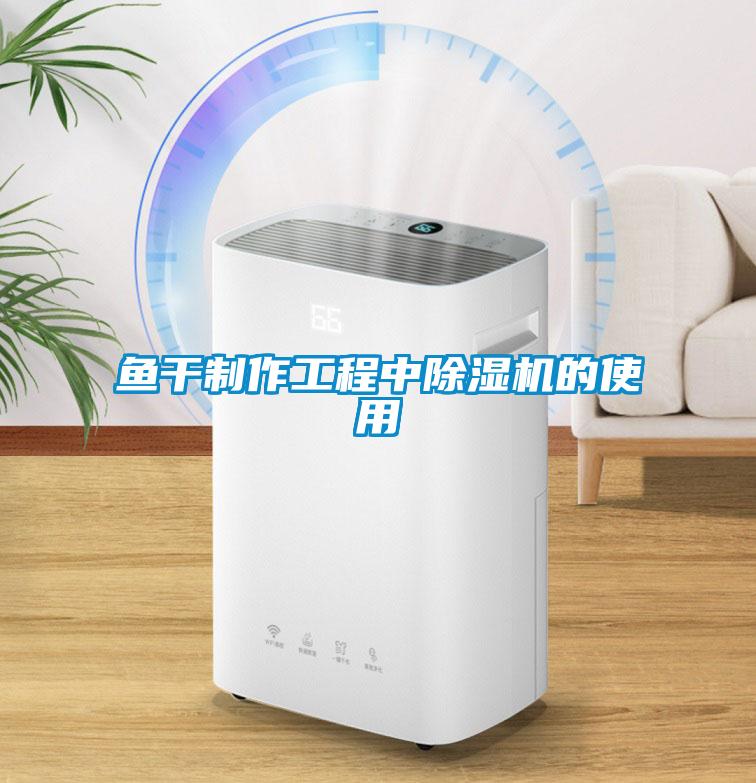 魚幹製作工程中91看片在线下载機的使用