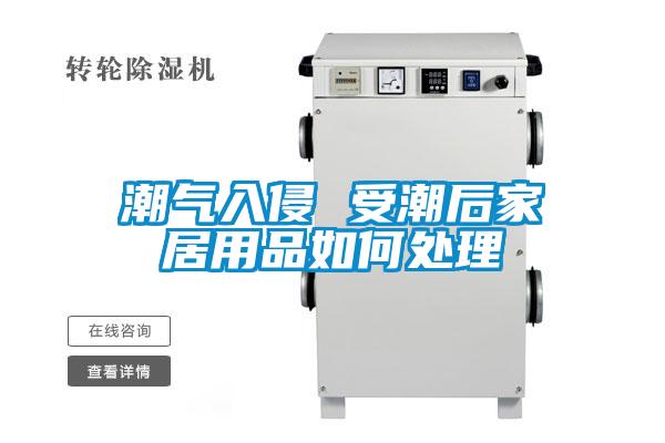 潮氣入侵 受潮後家居用品如何處理