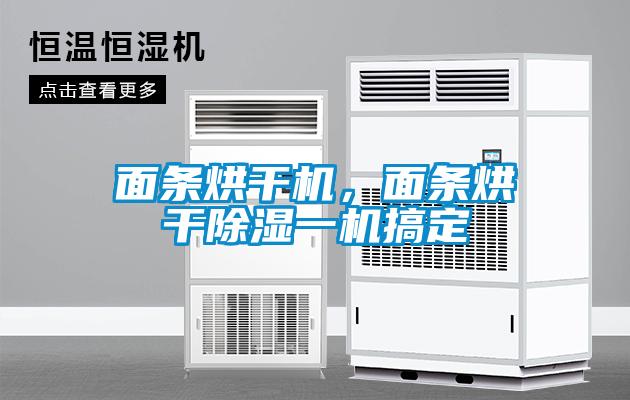 麵條烘幹機，麵條烘幹91看片在线下载一機搞定