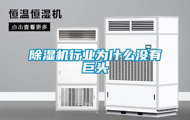 91看片在线下载機行業為什麽沒有巨頭