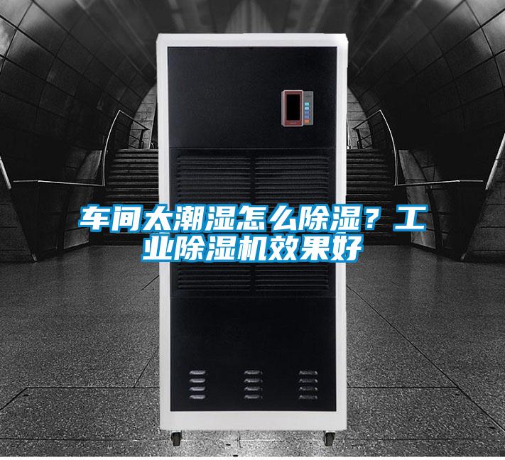 車間太潮濕怎麽91看片在线下载？工業91看片在线下载機效果好