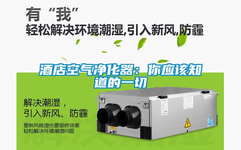 酒店空氣淨化器：你應該知道的一切