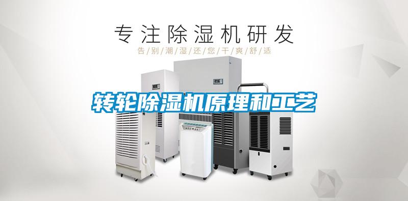轉輪91看片在线下载機原理和工藝