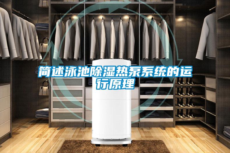 簡述泳池91看片在线下载熱泵係統的運行原理
