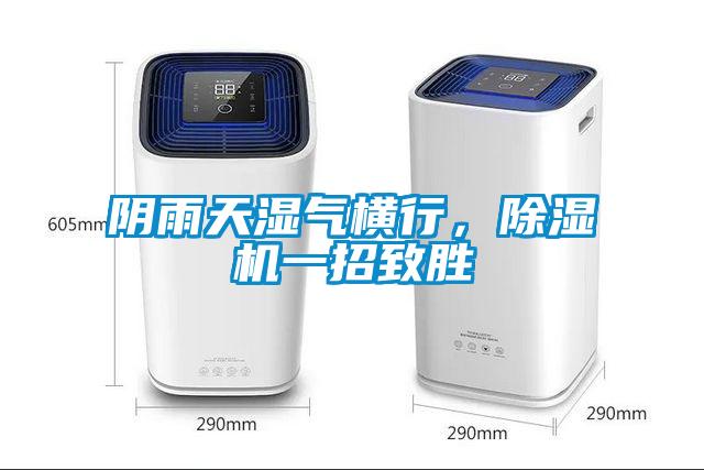 陰雨天濕氣橫行，91看片在线下载機一招致勝