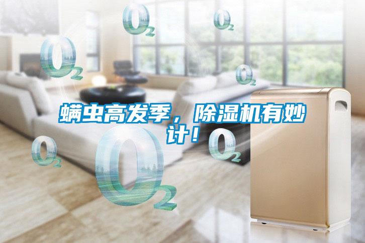 蟎蟲高發季，91看片在线下载機有妙計！