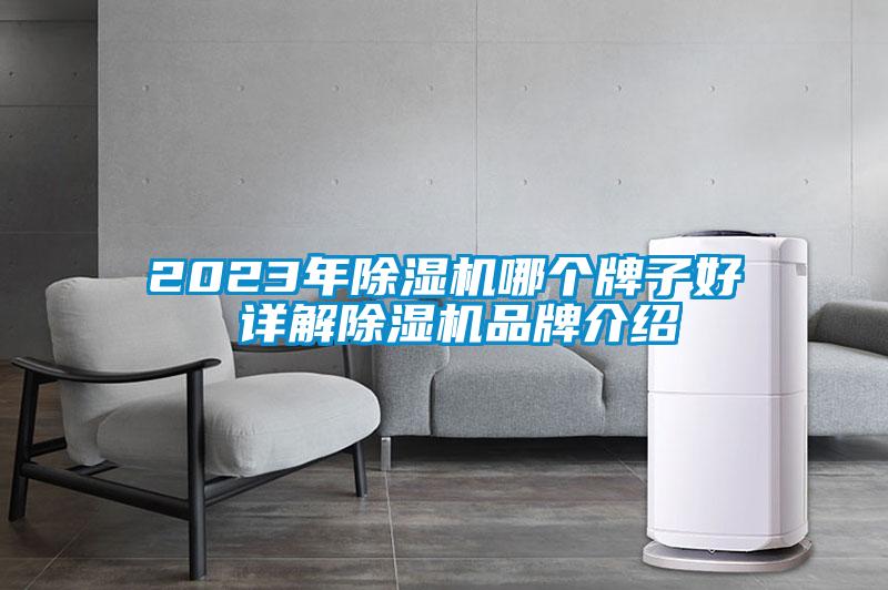 2023年91看片在线下载機哪個牌子好 詳解91看片在线下载機品牌介紹