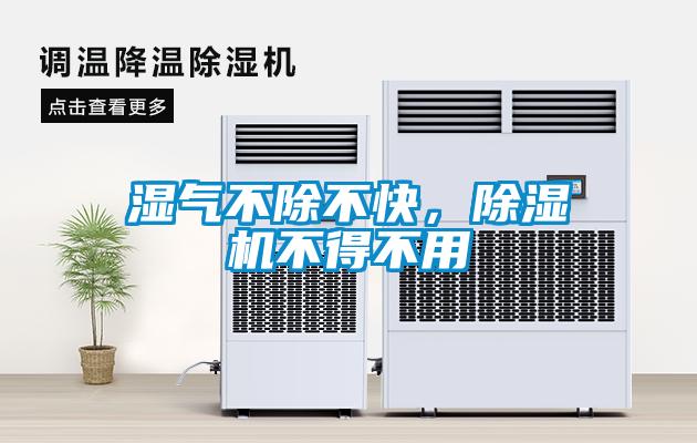濕氣不除不快，91看片在线下载機不得不用